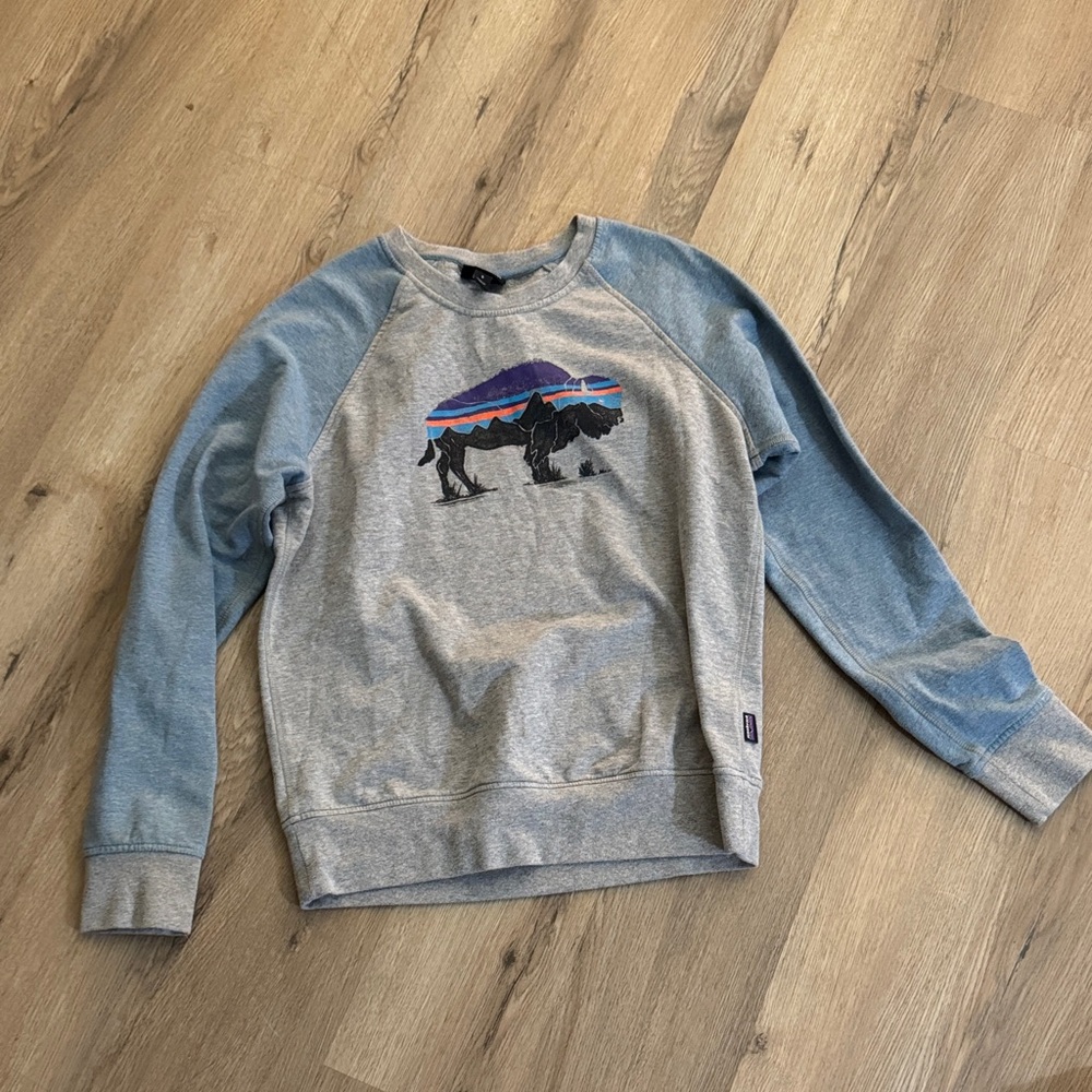 Patagonia Gray and Blue Crewneck Sweater